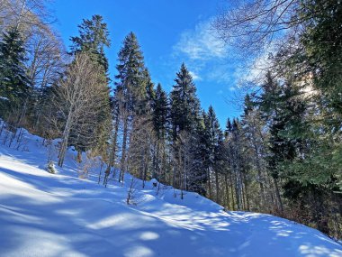 İsviçre Alpleri, Schwaegalp dağ geçidi - İsviçre 'deki Appenzell Ausserrhoden Kantonu (Schweiz)