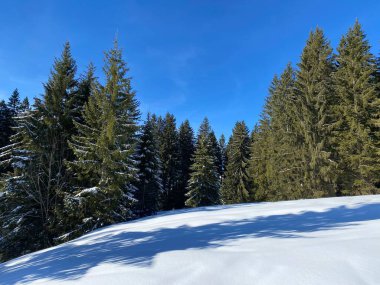 İsviçre Alpleri, Schwaegalp dağ geçidi - İsviçre 'deki Appenzell Ausserrhoden Kantonu (Schweiz)