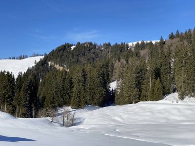 İsviçre Alpleri, Schwaegalp dağ geçidi - İsviçre 'deki Appenzell Ausserrhoden Kantonu (Schweiz)
