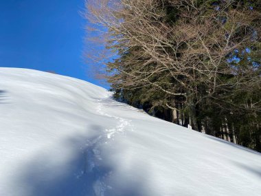 İsviçre Alpleri, Schwaegalp dağ geçidi - İsviçre 'deki Appenzell Ausserrhoden Kantonu (Schweiz)