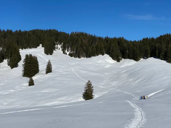 스위스 알프스 산맥에 폭설이 전형적 겨울철 기후에 자리잡고 지대의 가판대 — 스톡 사진