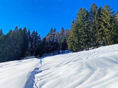 İsviçre Alpleri, Schwaegalp dağ geçidi - İsviçre 'deki Appenzell Ausserrhoden Kantonu (Schweiz)