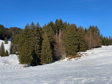 İsviçre Alpleri, Schwaegalp dağ geçidi - İsviçre 'deki Appenzell Ausserrhoden Kantonu (Schweiz)