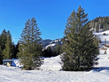 İsviçre Alpleri, Schwaegalp dağ geçidi - İsviçre 'deki Appenzell Ausserrhoden Kantonu (Schweiz)
