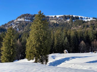 İsviçre Alpleri, Schwaegalp dağ geçidi - İsviçre 'deki Appenzell Ausserrhoden Kantonu (Schweiz)