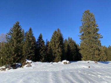 İsviçre Alpleri, Schwaegalp dağ geçidi - İsviçre 'deki Appenzell Ausserrhoden Kantonu (Schweiz)