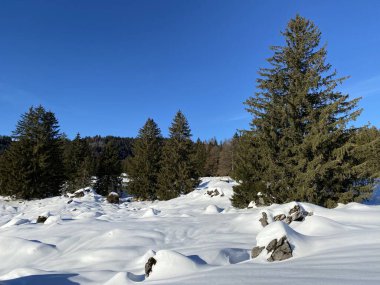 İsviçre Alpleri, Schwaegalp dağ geçidi - İsviçre 'deki Appenzell Ausserrhoden Kantonu (Schweiz)