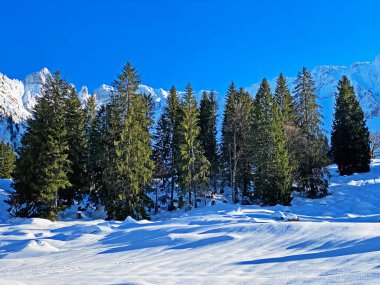 İsviçre Alpleri, Schwaegalp dağ geçidi - İsviçre 'deki Appenzell Ausserrhoden Kantonu (Schweiz)