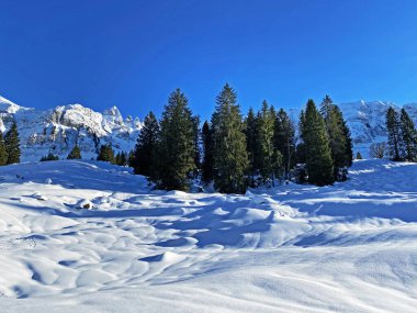 İsviçre Alpleri, Schwaegalp dağ geçidi - İsviçre 'deki Appenzell Ausserrhoden Kantonu (Schweiz)
