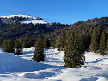 İsviçre Alpleri, Schwaegalp dağ geçidi - İsviçre 'deki Appenzell Ausserrhoden Kantonu (Schweiz)