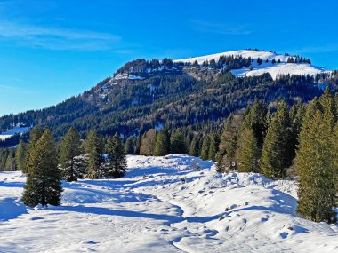 İsviçre Alpleri, Schwaegalp dağ geçidi - İsviçre 'deki Appenzell Ausserrhoden Kantonu (Schweiz)