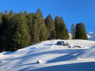 İsviçre Alpleri, Schwaegalp dağ geçidi - İsviçre 'deki Appenzell Ausserrhoden Kantonu (Schweiz)