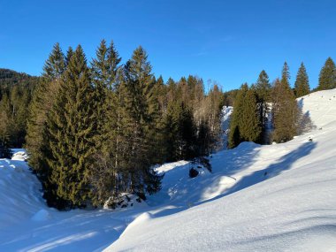 İsviçre Alpleri, Schwaegalp dağ geçidi - İsviçre 'deki Appenzell Ausserrhoden Kantonu (Schweiz)
