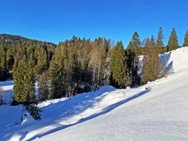 İsviçre Alpleri, Schwaegalp dağ geçidi - İsviçre 'deki Appenzell Ausserrhoden Kantonu (Schweiz)