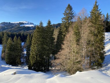 İsviçre Alpleri, Schwaegalp dağ geçidi - İsviçre 'deki Appenzell Ausserrhoden Kantonu (Schweiz)
