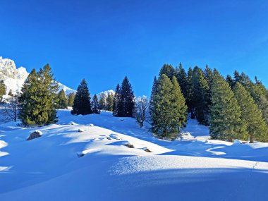 İsviçre Alpleri, Schwaegalp dağ geçidi - İsviçre 'deki Appenzell Ausserrhoden Kantonu (Schweiz)