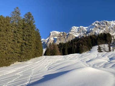 İsviçre Alpleri, Schwaegalp dağ geçidi - İsviçre 'deki Appenzell Ausserrhoden Kantonu (Schweiz)