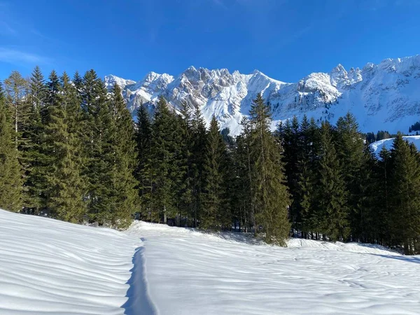 İsviçre Alpleri, Schwaegalp dağ geçidi - İsviçre 'deki Appenzell Ausserrhoden Kantonu (Schweiz)