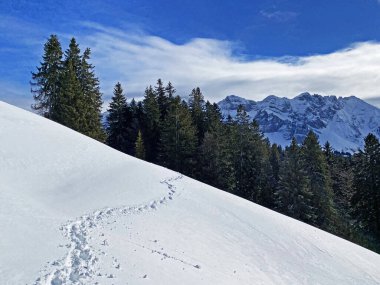 İsviçre Alpleri, Schwagalp (veya Schwaegalp) dağ geçidi - İsviçre 'nin Appenzell Ausserrhoden Kantonu (Schweiz)