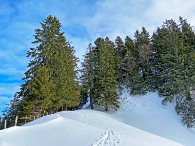 İsviçre Alpleri, Schwagalp (veya Schwaegalp) dağ geçidi - İsviçre 'nin Appenzell Ausserrhoden Kantonu (Schweiz)