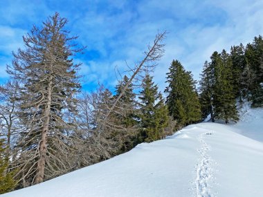 İsviçre Alpleri, Schwagalp (veya Schwaegalp) dağ geçidi - İsviçre 'nin Appenzell Ausserrhoden Kantonu (Schweiz)