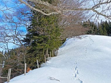 İsviçre Alpleri, Schwagalp (veya Schwaegalp) dağ geçidi - İsviçre 'nin Appenzell Ausserrhoden Kantonu (Schweiz)