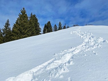 İsviçre Alpleri, Schwagalp (veya Schwaegalp) dağ geçidi - İsviçre 'nin Appenzell Ausserrhoden Kantonu (Schweiz)