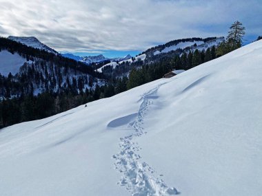 İsviçre Alpleri, Schwagalp (veya Schwaegalp) dağ geçidi - İsviçre 'nin Appenzell Ausserrhoden Kantonu (Schweiz)