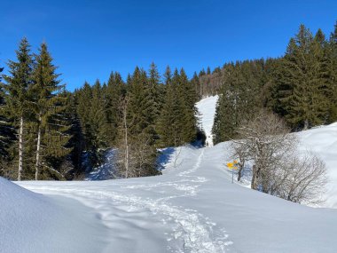 İsviçre Alpleri, Schwagalp (veya Schwaegalp) dağ geçidi - İsviçre 'nin Appenzell Ausserrhoden Kantonu (Schweiz)