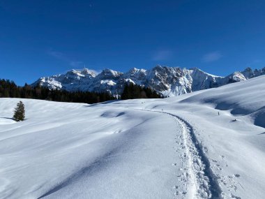 İsviçre Alpleri, Schwagalp (veya Schwaegalp) dağ geçidi - İsviçre 'nin Appenzell Ausserrhoden Kantonu (Schweiz)