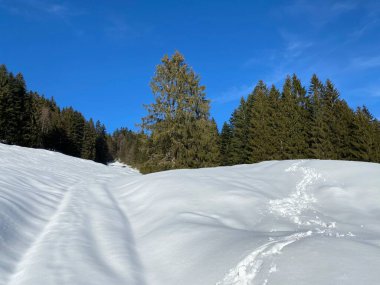 İsviçre Alpleri, Schwagalp (veya Schwaegalp) dağ geçidi - İsviçre 'nin Appenzell Ausserrhoden Kantonu (Schweiz)