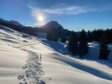 İsviçre Alpleri, Schwagalp (veya Schwaegalp) dağ geçidi - İsviçre 'nin Appenzell Ausserrhoden Kantonu (Schweiz)