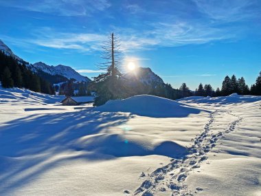 İsviçre Alpleri, Schwagalp (veya Schwaegalp) dağ geçidi - İsviçre 'nin Appenzell Ausserrhoden Kantonu (Schweiz)