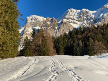 İsviçre Alpleri, Schwagalp (veya Schwaegalp) dağ geçidi - İsviçre 'nin Appenzell Ausserrhoden Kantonu (Schweiz)
