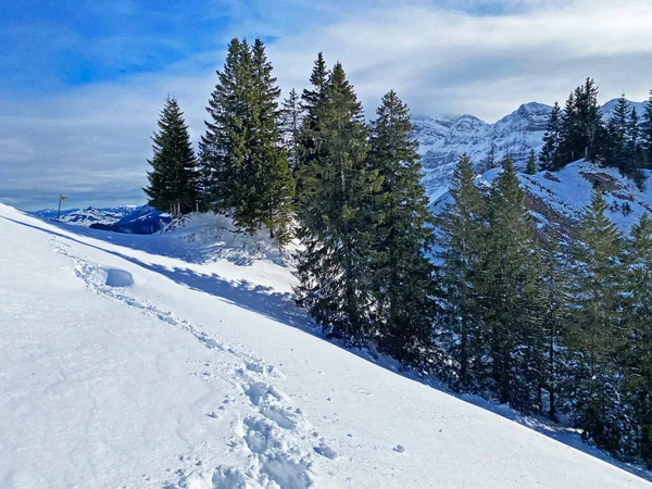 İsviçre Alpleri, Schwagalp (veya Schwaegalp) dağ geçidi - İsviçre 'nin Appenzell Ausserrhoden Kantonu (Schweiz)