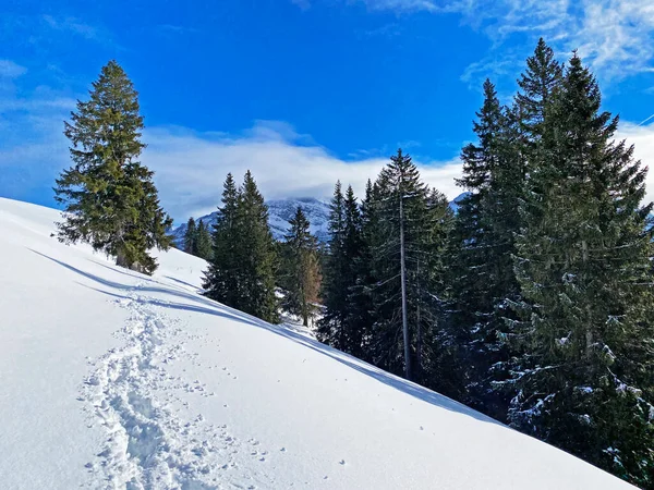 Underbara Vintervandringsleder Och Spår Den Färska Alpina Snötäcket Schweiziska Alperna — Stockfoto