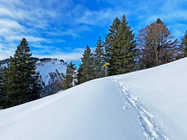 素晴らしい冬のハイキングコースとスイスアルプス シュヴァガルプ またはシュヴァガルプ 峠の新鮮な高山雪の上の痕跡 カントン アペンツェル アウセルローデン スイス スイス — ストック写真