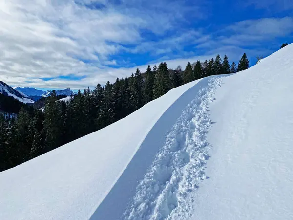 Underbara Vintervandringsleder Och Spår Den Färska Alpina Snötäcket Schweiziska Alperna — Stockfoto