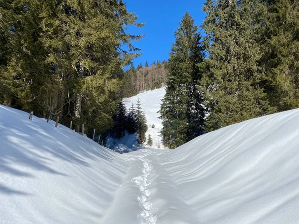 Maravilhosas Trilhas Para Caminhadas Inverno Vestígios Cobertura Neve Alpina Fresca — Fotografia de Stock