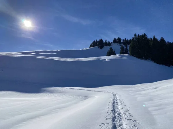 Maravillosas Rutas Senderismo Invierno Rastros Cubierta Nieve Alpina Fresca Los — Foto de Stock