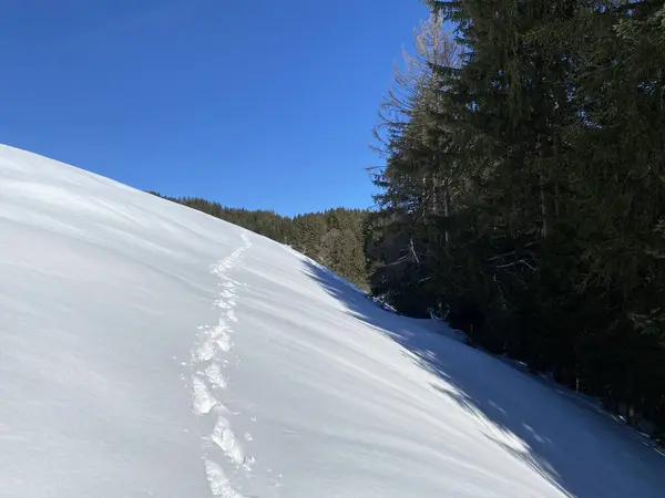 Wunderschöne Winterwanderwege Und Spuren Der Neuschneedecke Der Schweizer Alpen Auf — Stockfoto
