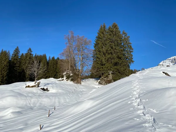 Maravilhosas Trilhas Para Caminhadas Inverno Vestígios Cobertura Neve Alpina Fresca — Fotografia de Stock