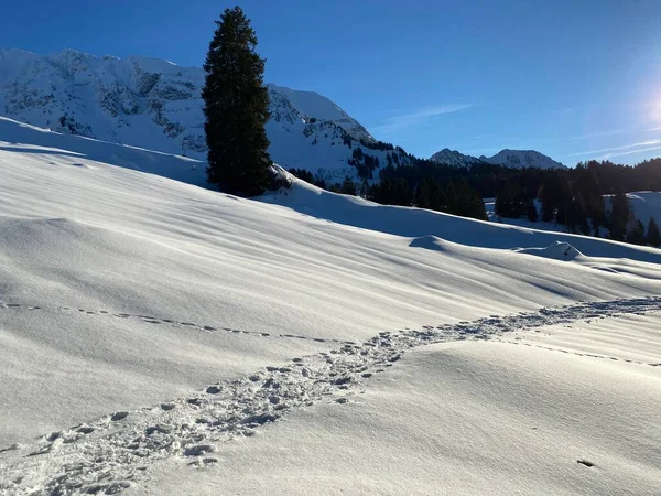 İsviçre Alpleri, Schwagalp (veya Schwaegalp) dağ geçidi - İsviçre 'nin Appenzell Ausserrhoden Kantonu (Schweiz)