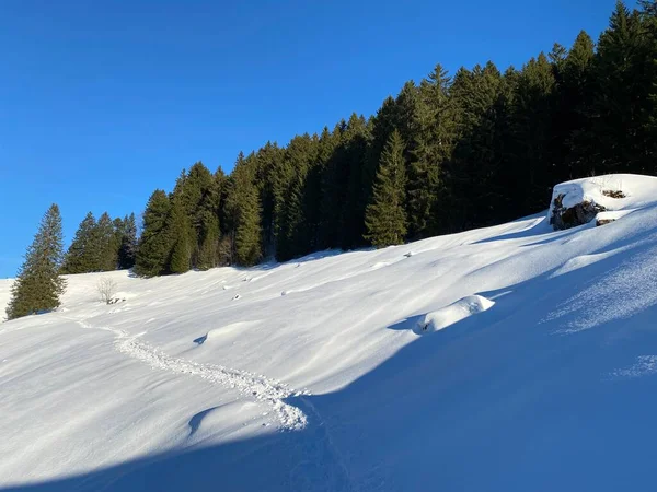 Nádherné Zimní Turistické Stezky Stopy Čerstvém Vysokohorském Sněhu Švýcarských Alp — Stock fotografie