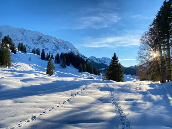 素晴らしい冬のハイキングコースとスイスアルプス シュヴァガルプ またはシュヴァガルプ 峠の新鮮な高山雪の上の痕跡 カントン アペンツェル アウセルローデン スイス スイス — ストック写真