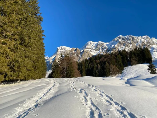 Maravilhosas Trilhas Para Caminhadas Inverno Vestígios Cobertura Neve Alpina Fresca — Fotografia de Stock