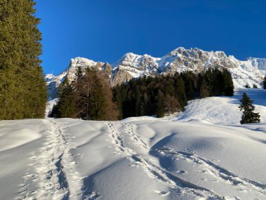 İsviçre Alpleri, Schwagalp (veya Schwaegalp) dağ geçidi - İsviçre 'nin Appenzell Ausserrhoden Kantonu (Schweiz)