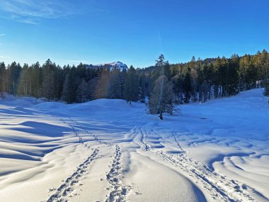 İsviçre Alpleri, Schwagalp (veya Schwaegalp) dağ geçidi - İsviçre 'nin Appenzell Ausserrhoden Kantonu (Schweiz)