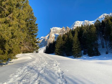 İsviçre Alpleri, Schwagalp (veya Schwaegalp) dağ geçidi - İsviçre 'nin Appenzell Ausserrhoden Kantonu (Schweiz)
