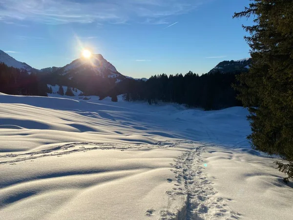 Wspaniałe Zimowe Szlaki Turystyczne Ślady Świeżym Pokrywie Śnieżnej Alp Szwajcarskich — Zdjęcie stockowe